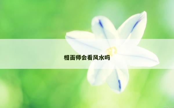 相面師會看風水嗎