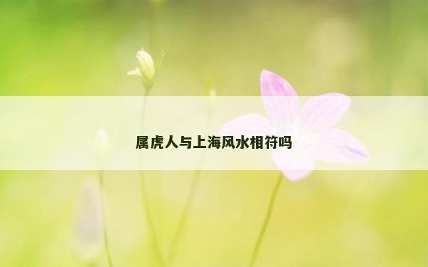 屬虎人與上海風水相符嗎