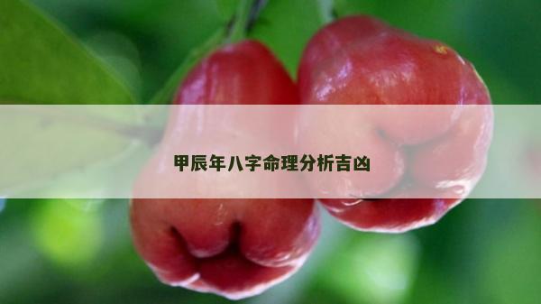 甲辰年八字命理分析吉兇