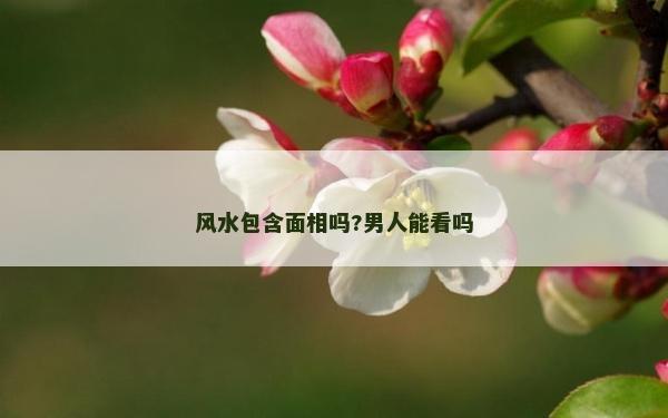 風水包含面相嗎?男人能看嗎
