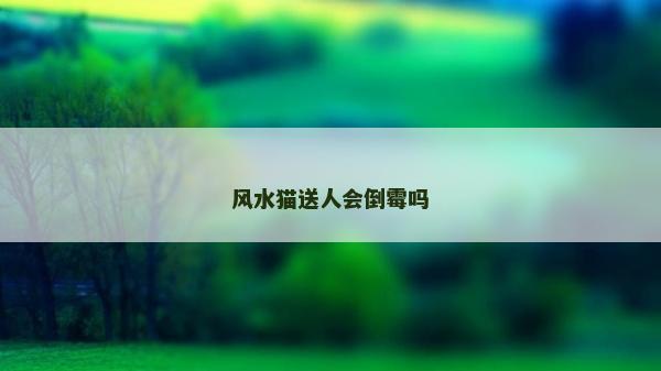 風水貓送人會倒霉嗎