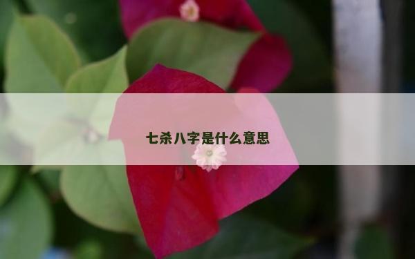 七殺八字是什么意思