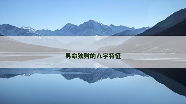 男命獨財的八字特征