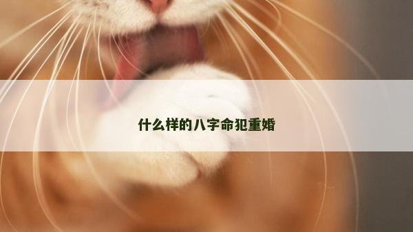 什么樣的八字命犯重婚