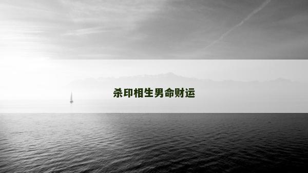 殺印相生男命財運