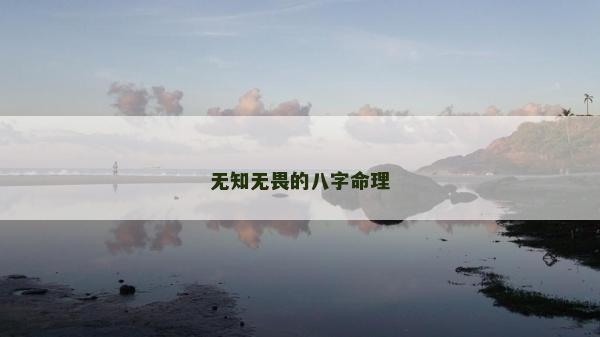 無知無畏的八字命理