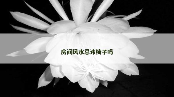 房間風水忌諱椅子嗎