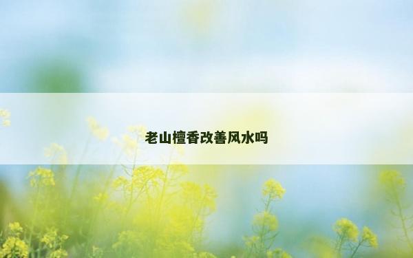 老山檀香改善風(fēng)水嗎