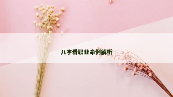 八字看職業命例解析