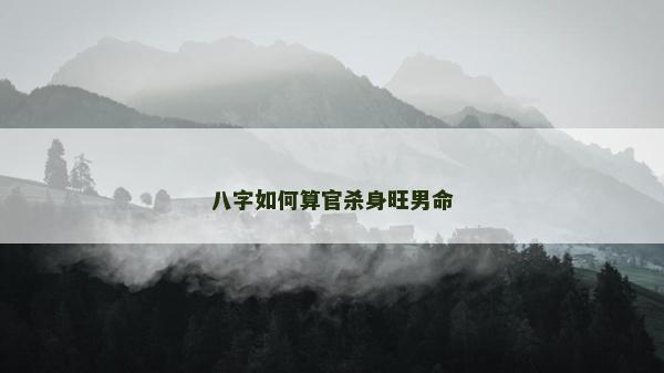 八字如何算官殺身旺男命