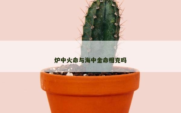 爐中火命與海中金命相克嗎