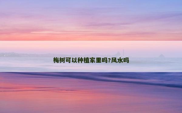 梅樹可以種植家里嗎?風水嗎