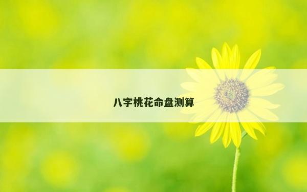 八字桃花命盤測算