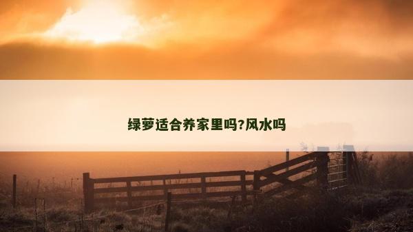 綠蘿適合養(yǎng)家里嗎?風水嗎
