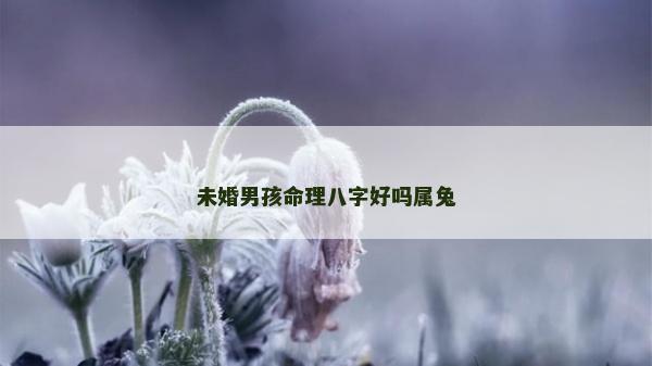 未婚男孩命理八字好嗎屬兔 未婚男孩命理八字好嗎屬兔