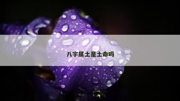 八字屬土是土命嗎