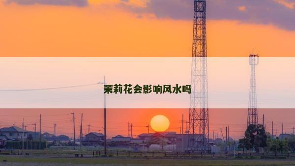 茉莉花會(huì)影響風(fēng)水嗎