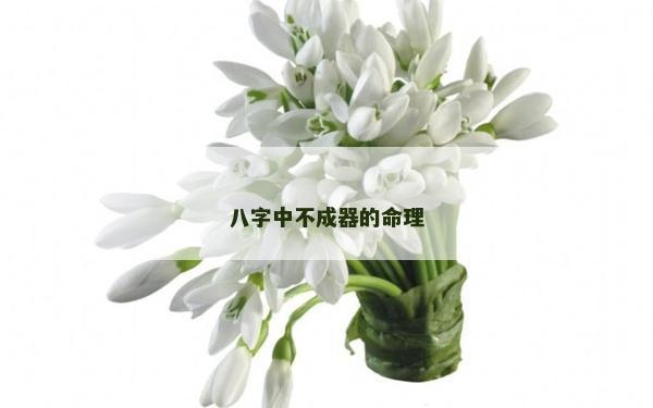 八字中不成器的命理 八字中不成器的命理
