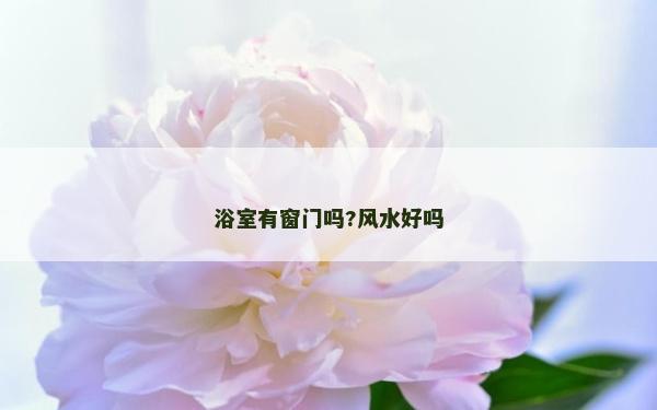 浴室有窗門嗎?風水好嗎