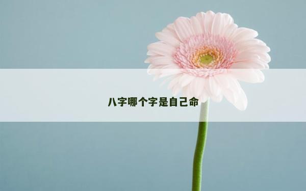 八字哪個字是自己命