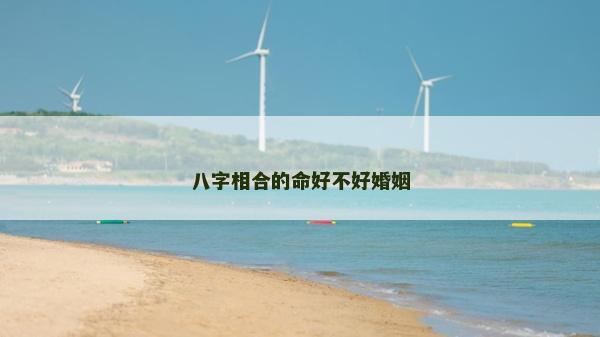 八字相合的命好不好婚姻 八字相合的命好不好婚姻