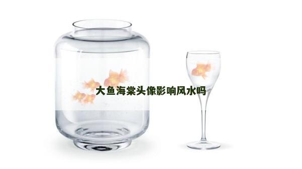 大魚海棠頭像影響風水嗎