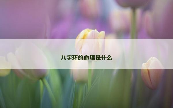 八字環的命理是什么