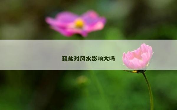 粗鹽對風水影響大嗎