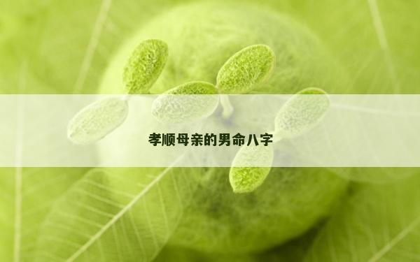 孝順母親的男命八字