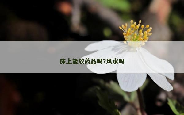 床上能放藥品嗎?風水嗎