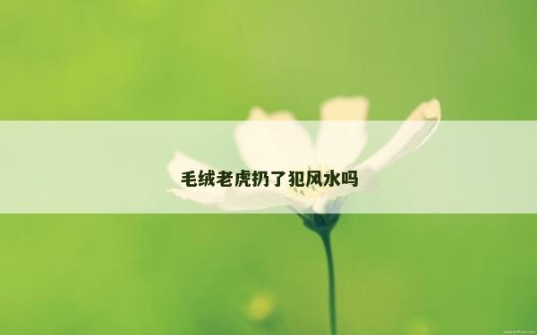 毛絨老虎扔了犯風水嗎
