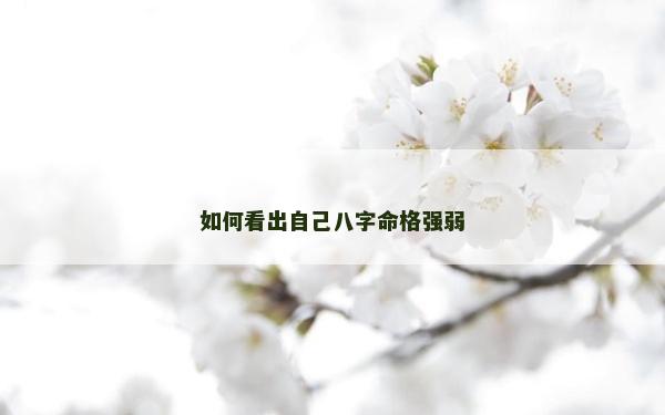 如何看出自己八字命格強弱