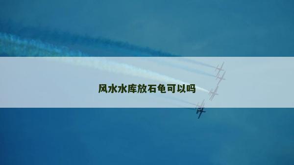 風水水庫放石龜可以嗎