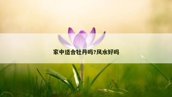 家中適合牡丹嗎?風(fēng)水好嗎
