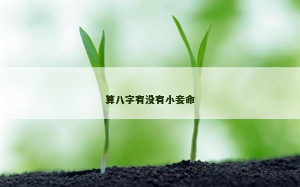 算八字有沒有小妾命