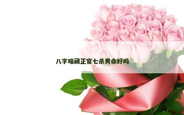 八字暗藏正官七殺男命好嗎