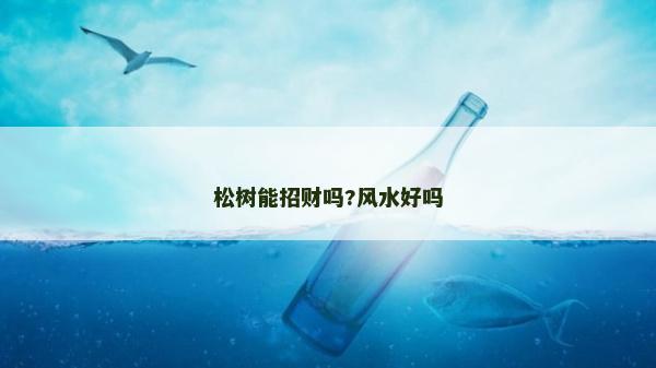 松樹能招財嗎?風水好嗎