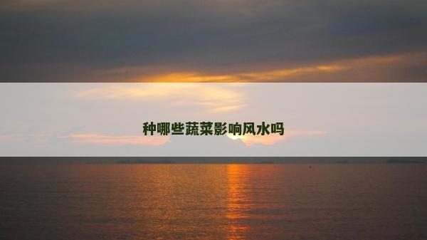 種哪些蔬菜影響風水嗎
