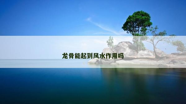 龍骨能起到風(fēng)水作用嗎
