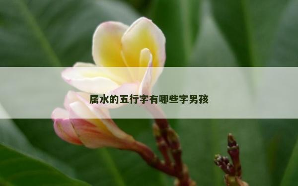 屬水的五行字有哪些字男孩