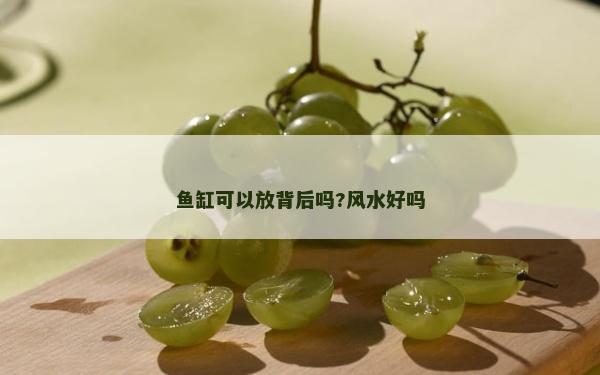 魚缸可以放背后嗎?風水好嗎