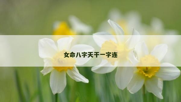 女命八字天干一字連