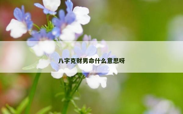 八字克財男命什么意思呀