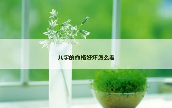 八字的命格好壞怎么看