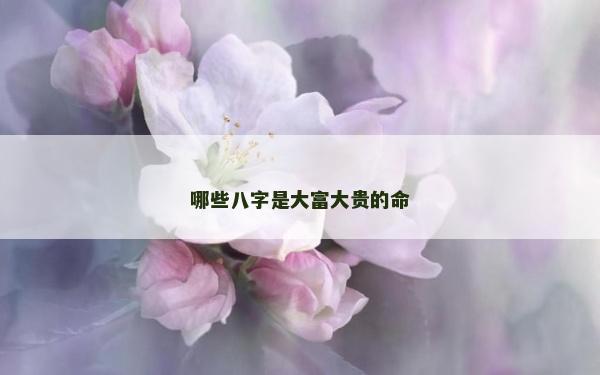 哪些八字是大富大貴的命