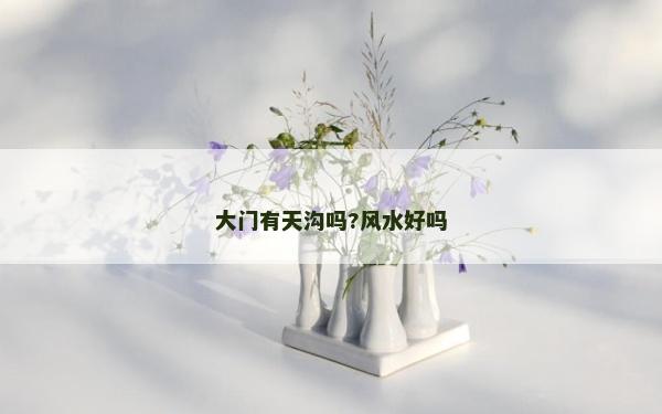 大門有天溝嗎?風水好嗎
