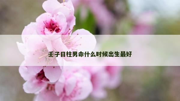壬子日柱男命什么時候出生最好