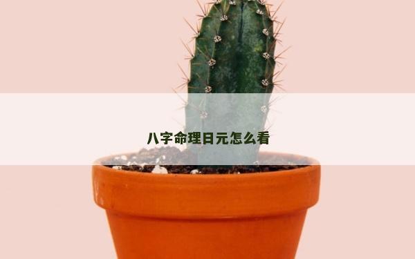 八字命理日元怎么看
