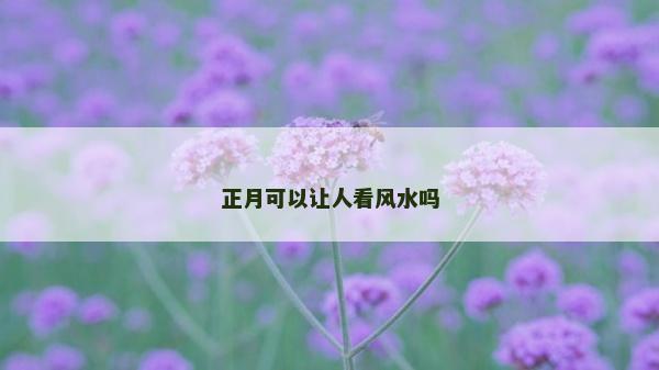 正月可以讓人看風(fēng)水嗎