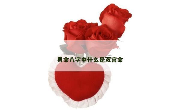 男命八字中什么是雙宮命